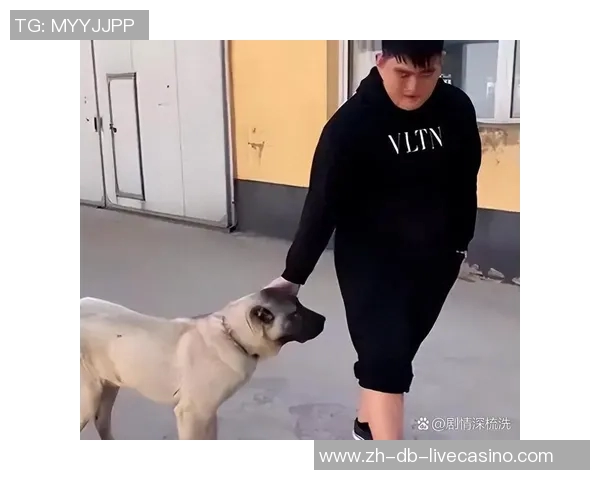 足球露鸟引发的热议与争议背后隐藏的文化与社会现象分析